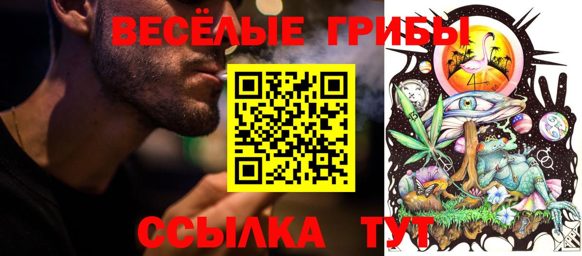 Псилоцибиновые грибы Psilocybine cubensis Старый Оскол