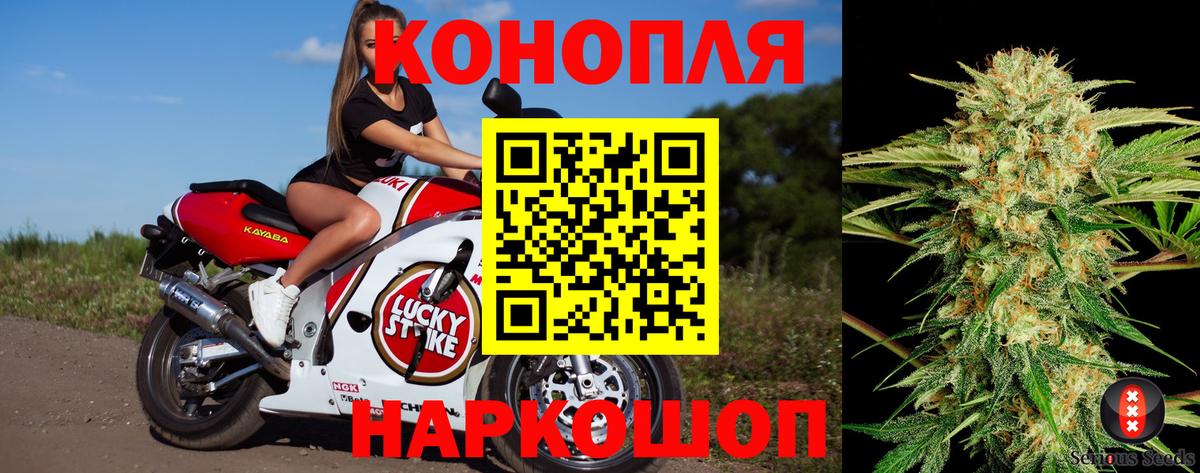 Конопля ГИДРОПОН  Вход с VPN  Старый Оскол  Марихуана конопля  Шишки марихуана OG Kush 